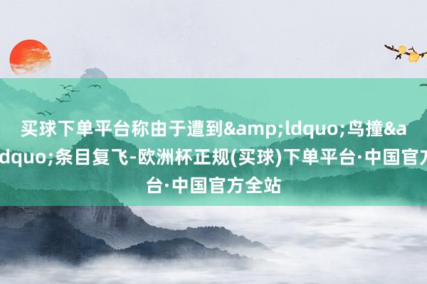 买球下单平台称由于遭到&ldquo;鸟撞&rdquo;条目复飞-欧洲杯正规(买球)下单平台·中国官方全站