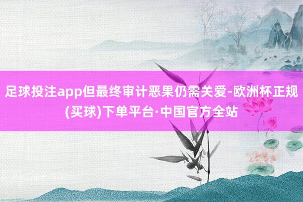 足球投注app但最终审计恶果仍需关爱-欧洲杯正规(买球)下单平台·中国官方全站