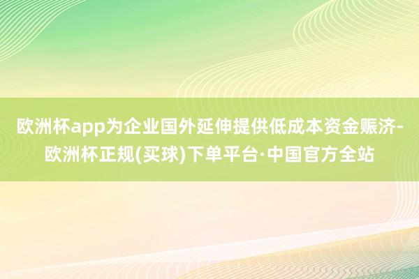 欧洲杯app为企业国外延伸提供低成本资金赈济-欧洲杯正规(买球)下单平台·中国官方全站