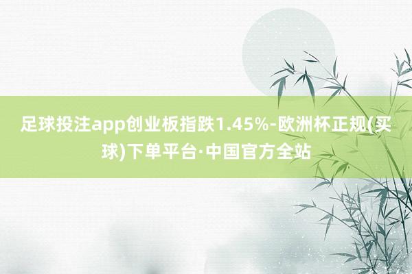 足球投注app创业板指跌1.45%-欧洲杯正规(买球)下单平台·中国官方全站