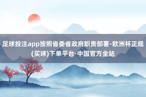 足球投注app按照省委省政府职责部署-欧洲杯正规(买球)下单平台·中国官方全站