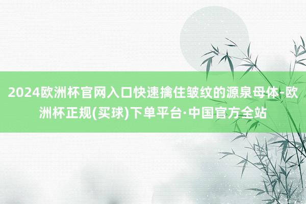 2024欧洲杯官网入口快速擒住皱纹的源泉母体-欧洲杯正规(买球)下单平台·中国官方全站