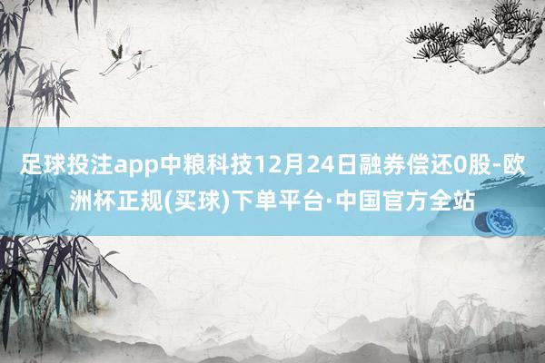 足球投注app中粮科技12月24日融券偿还0股-欧洲杯正规(买球)下单平台·中国官方全站