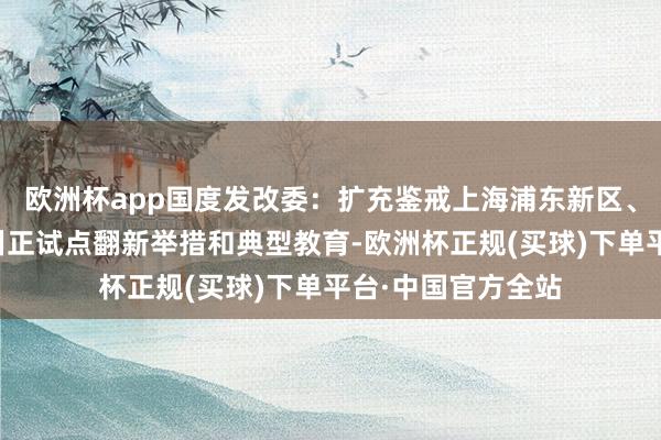 欧洲杯app国度发改委：扩充鉴戒上海浦东新区、深圳、厦门空洞纠正试点翻新举措和典型教育-欧洲杯正规(买球)下单平台·中国官方全站