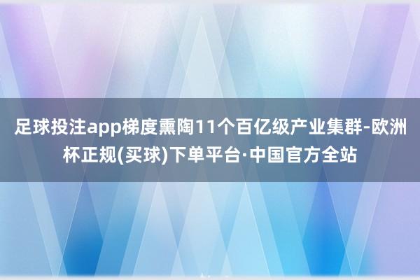 足球投注app梯度熏陶11个百亿级产业集群-欧洲杯正规(买球)下单平台·中国官方全站