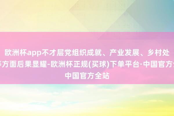 欧洲杯app不才层党组织成就、产业发展、乡村处罚等方面后果显耀-欧洲杯正规(买球)下单平台·中国官方全站
