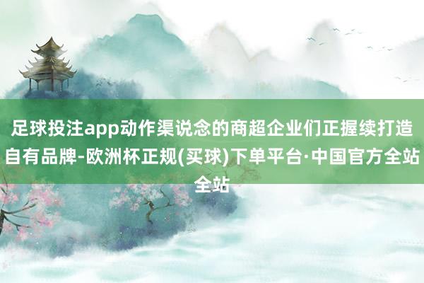 足球投注app动作渠说念的商超企业们正握续打造自有品牌-欧洲杯正规(买球)下单平台·中国官方全站