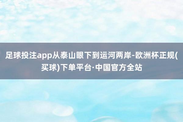 足球投注app从泰山眼下到运河两岸-欧洲杯正规(买球)下单平台·中国官方全站