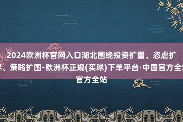 2024欧洲杯官网入口湖北围绕投资扩量、恣虐扩容、策略扩围-欧洲杯正规(买球)下单平台·中国官方全站