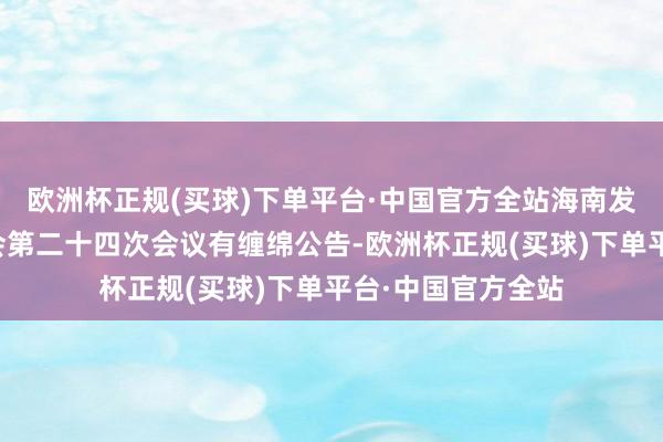 欧洲杯正规(买球)下单平台·中国官方全站海南发展：第八届董事会第二十四次会议有缠绵公告-欧洲杯正规(买球)下单平台·中国官方全站