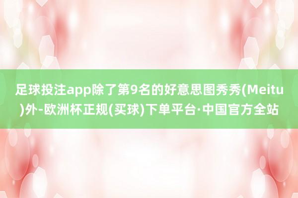 足球投注app除了第9名的好意思图秀秀(Meitu)外-欧洲杯正规(买球)下单平台·中国官方全站