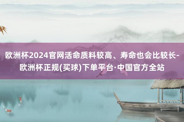 欧洲杯2024官网活命质料较高、寿命也会比较长-欧洲杯正规(买球)下单平台·中国官方全站