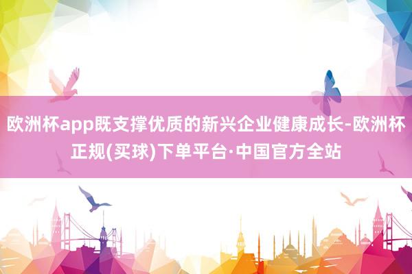 欧洲杯app既支撑优质的新兴企业健康成长-欧洲杯正规(买球)下单平台·中国官方全站