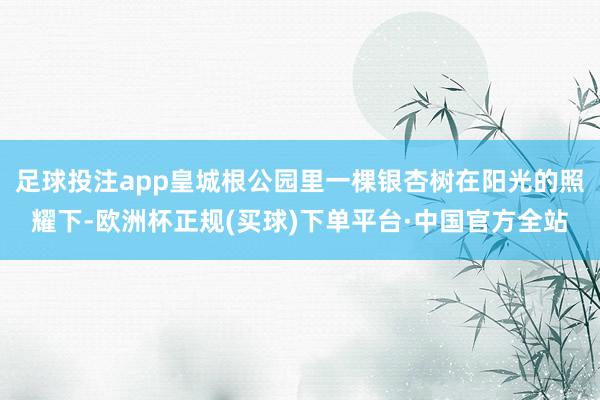 足球投注app皇城根公园里一棵银杏树在阳光的照耀下-欧洲杯正规(买球)下单平台·中国官方全站