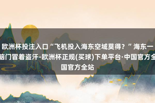 欧洲杯投注入口“飞机投入海东空域莫得？”海东一号脑门冒着盗汗-欧洲杯正规(买球)下单平台·中国官方全站