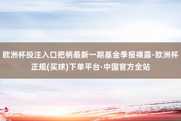 欧洲杯投注入口把柄最新一期基金季报裸露-欧洲杯正规(买球)下单平台·中国官方全站