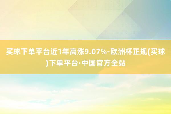 买球下单平台近1年高涨9.07%-欧洲杯正规(买球)下单平台·中国官方全站