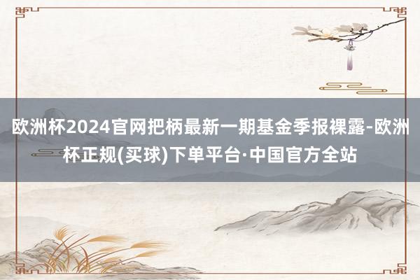 欧洲杯2024官网把柄最新一期基金季报裸露-欧洲杯正规(买球)下单平台·中国官方全站