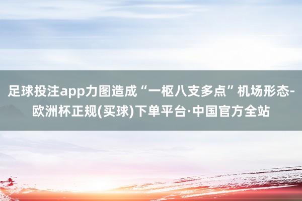 足球投注app力图造成“一枢八支多点”机场形态-欧洲杯正规(买球)下单平台·中国官方全站