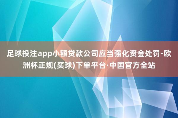 足球投注app小额贷款公司应当强化资金处罚-欧洲杯正规(买球)下单平台·中国官方全站