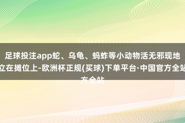 足球投注app蛇、乌龟、蚂蚱等小动物活无邪现地立在摊位上-欧洲杯正规(买球)下单平台·中国官方全站