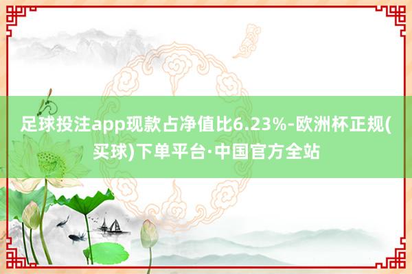 足球投注app现款占净值比6.23%-欧洲杯正规(买球)下单平台·中国官方全站