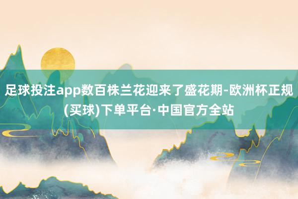 足球投注app数百株兰花迎来了盛花期-欧洲杯正规(买球)下单平台·中国官方全站